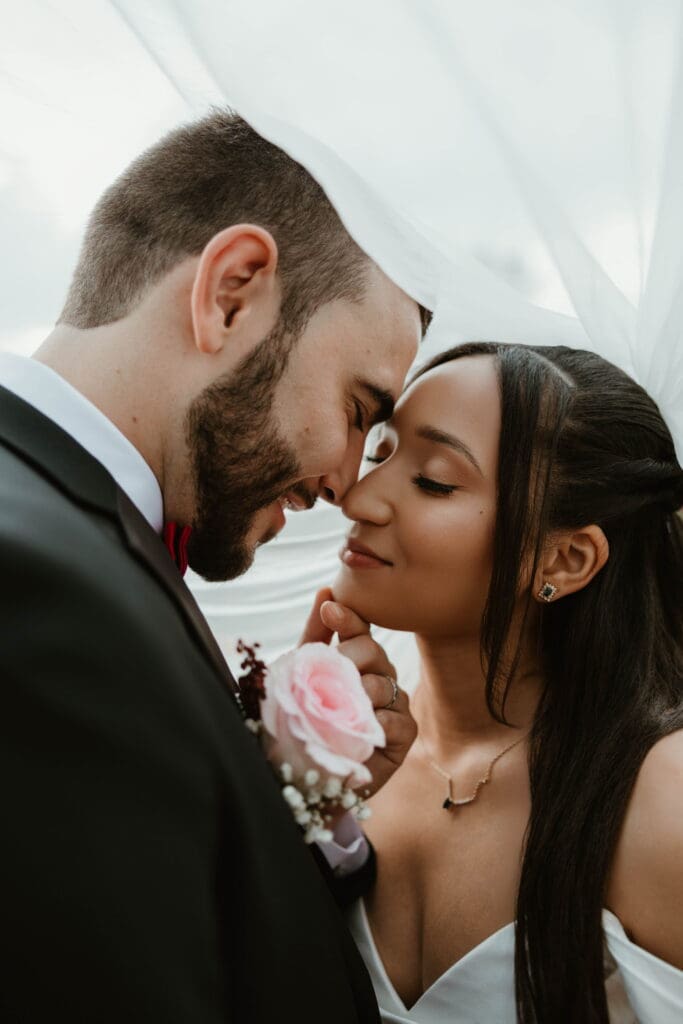 Under the veil shot and Tyler Arboretum Wedding in Media PA. 